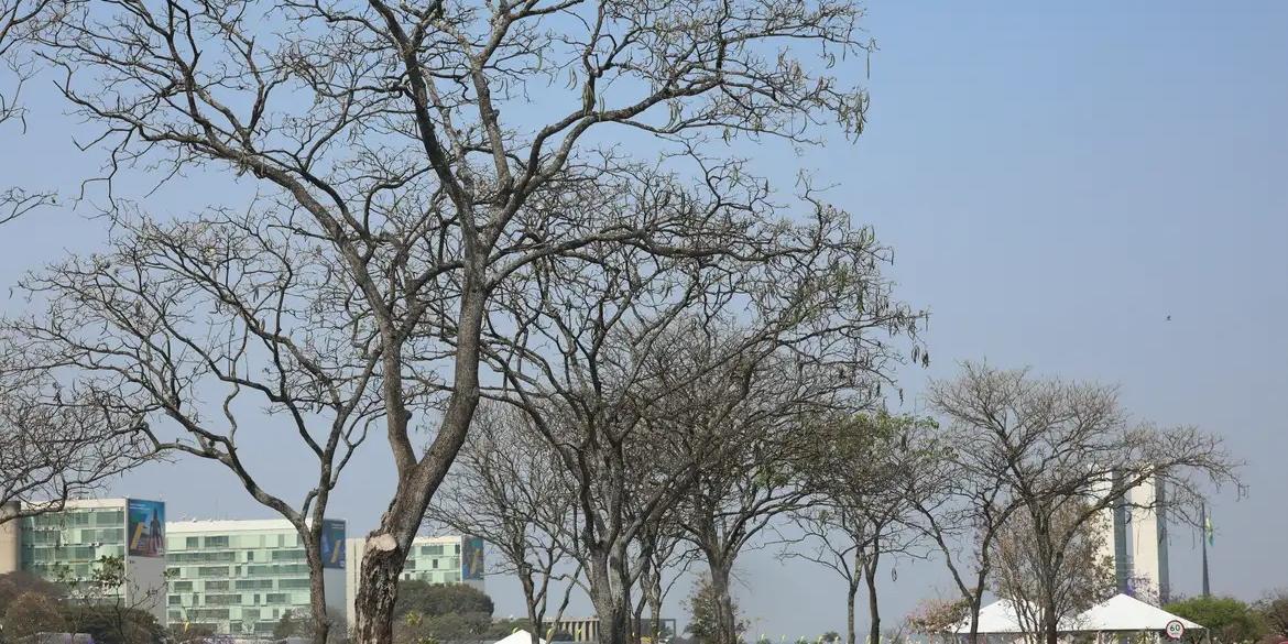 O Instituto Nacional de Meteorologia (Inmet) acionou o alerta laranja - de perigo - para baixa umidade no Distrito Federal (DF) com previsão de 15% nas horas mais quentes (JOSÉ CRUZ/AGÊNCIA BRASIL)