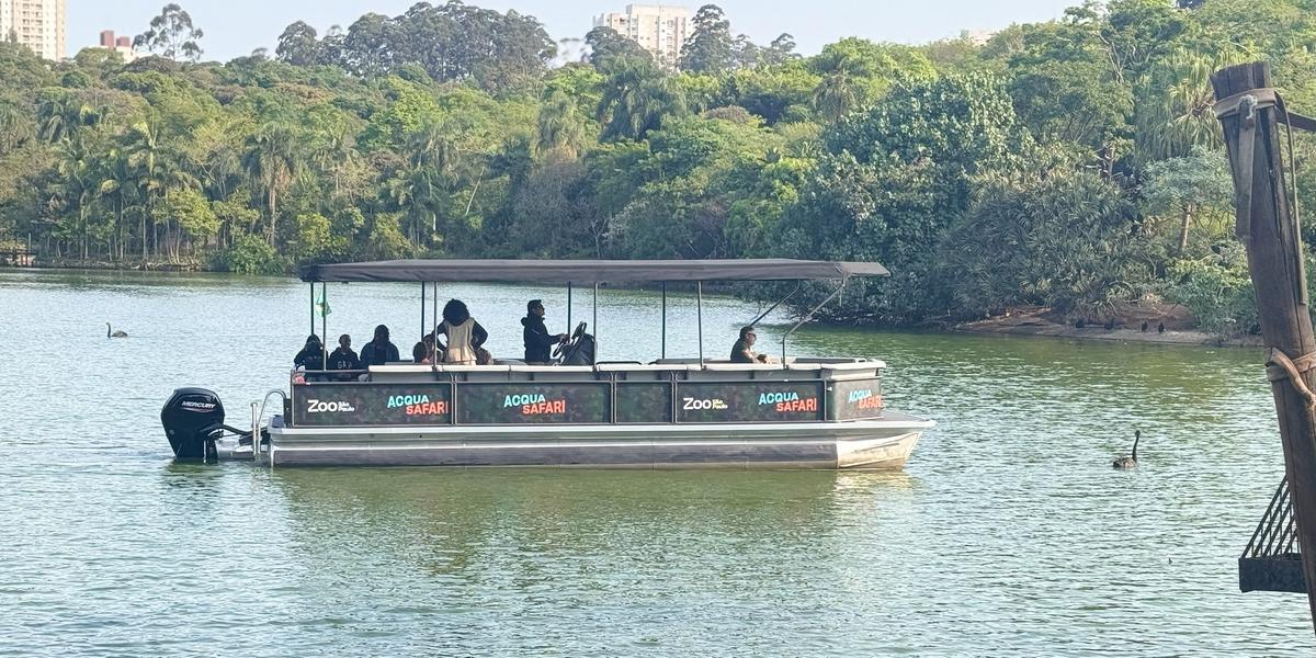 O Acqua Safári é uma embarcação ecológica silenciosa. Ele navega a uma velocidade máxima de 5 km/h e foi projetado para não impactar a fauna local (Acqua Safari/ Divulgação)