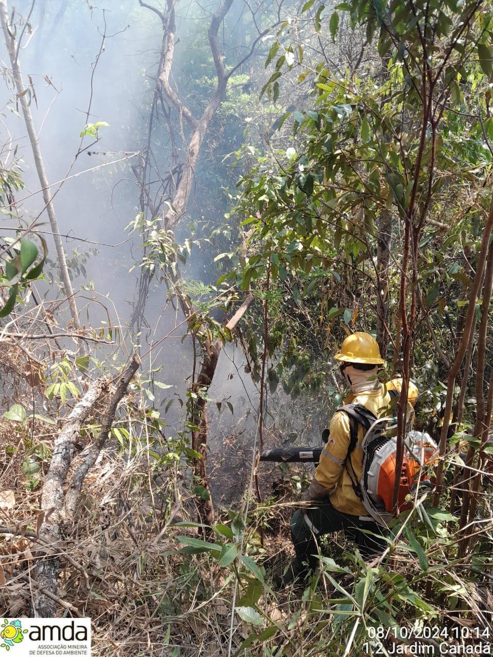 Incêndio na Serra da Moeda entra no segundo dia consecutivo (Divulgação / AMDA)