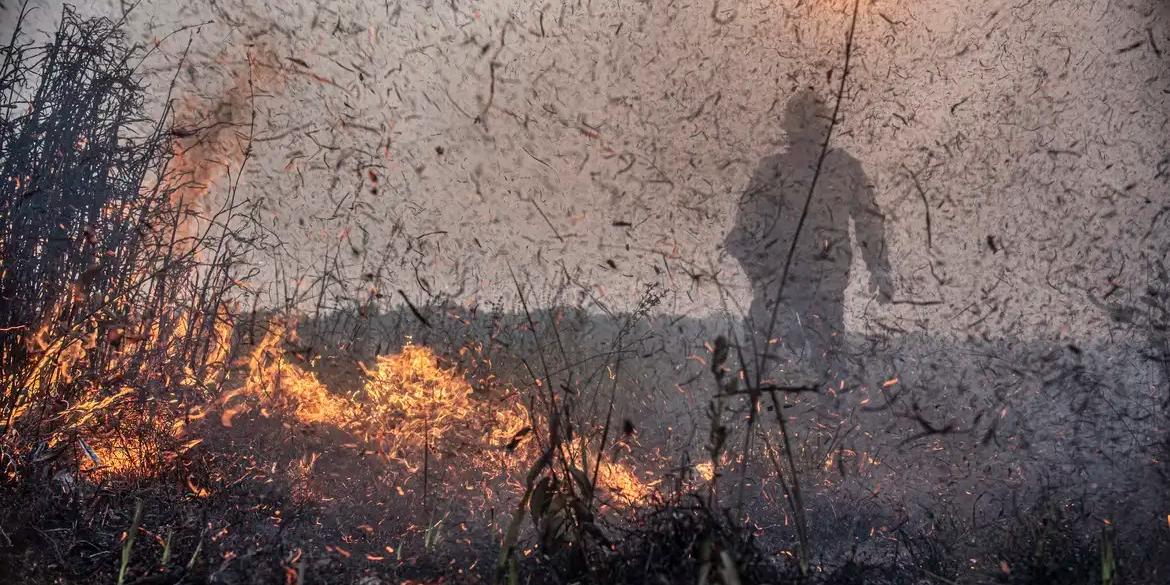 De acordo com os dados do Inpe, do total de focos detectados, 49,4% ocorreram na Amazônia (MAYANGDI INZAULGARAT/IBAMA)