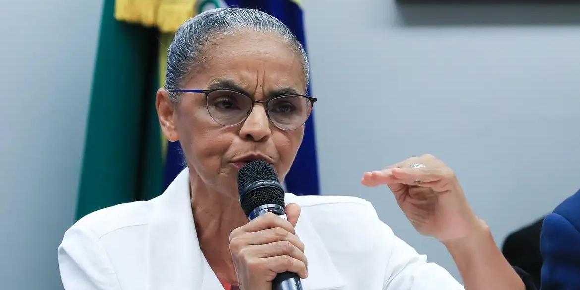 Segundo a ministra, é necessário que as fazendas também mantenham estruturas preventivas e brigadas próprias para atuar nessas áreas (LULA MARQUES/ AGÊNCIA BRASIL)