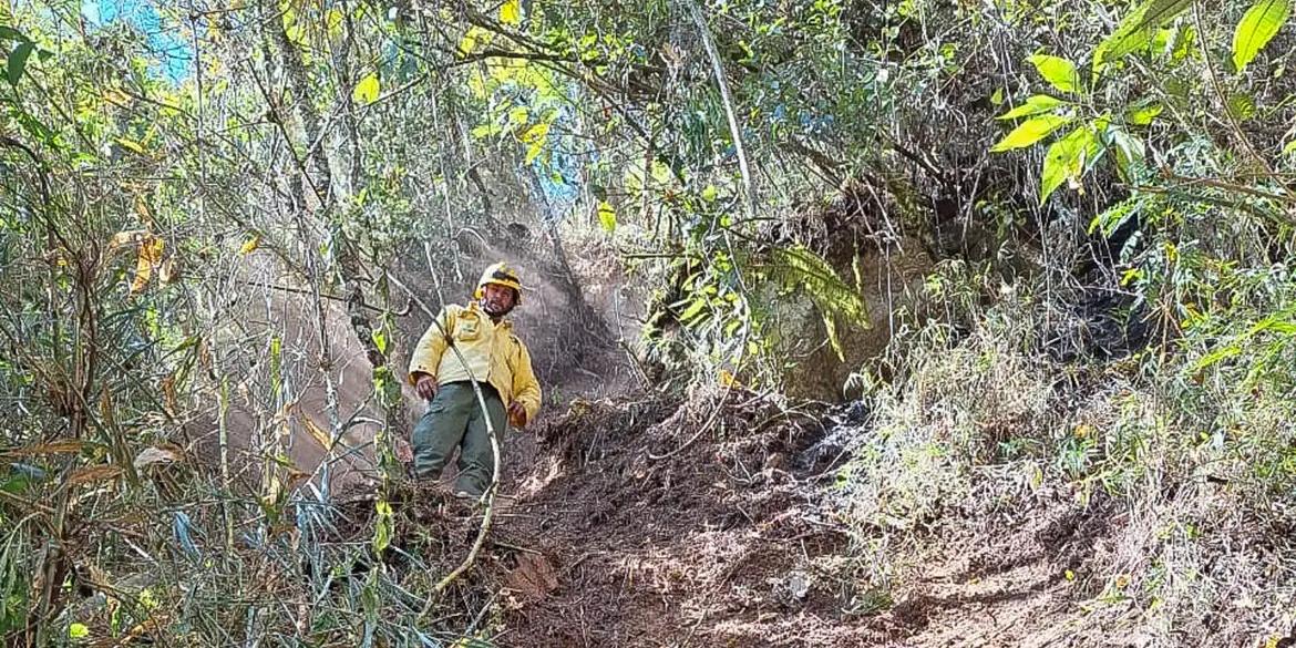 A investigação concluiu que o incêndio começou na margem da estrada, ao lado de um comboio de veículos do Exército Brasileiro, causado por um objeto utilizado para o preparo de alimentos com fogo (fogareiro e líquido inflamável) (ICMBIO/DIVULGAÇÃO)