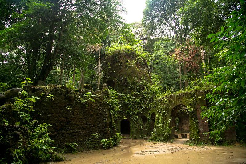 Bosque Rodrigues Alves (Bruna Brandão / MTur)