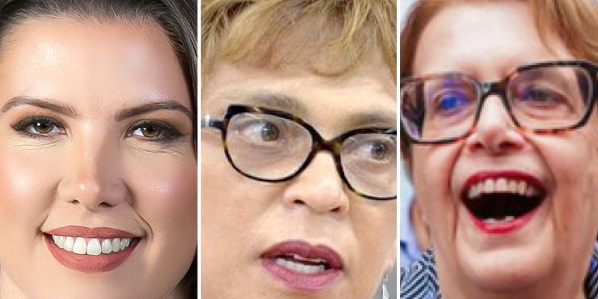 Elisa Araújo foi eleita em Uberaba, Marília Campos em Contagem e Margarida Salomão em Juiz de Fora (Reprodução redes sociais - Sarah Torres/ALMG)