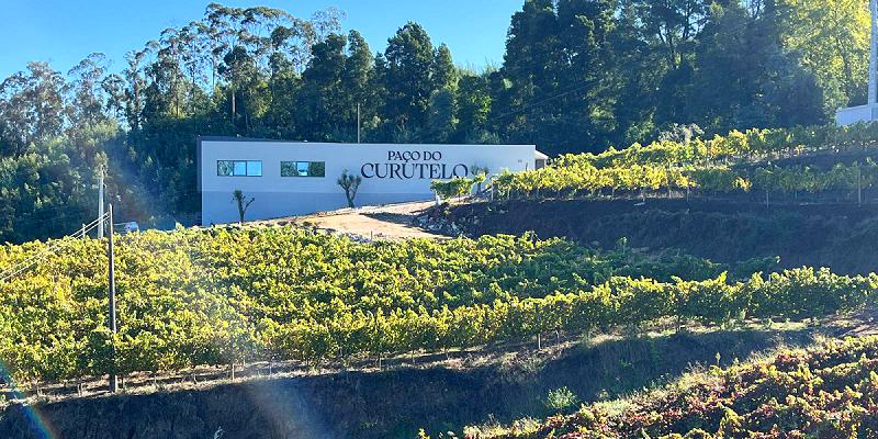 Com capacidade para produzir mais de 200.000 garrafas, a adega é equipada com tecnologia de ponta que permite monitorar todos os processos, desde a recepção das uvas até o controle das fermentações e o engarrafamento (Vila Galé/ Divulgação)