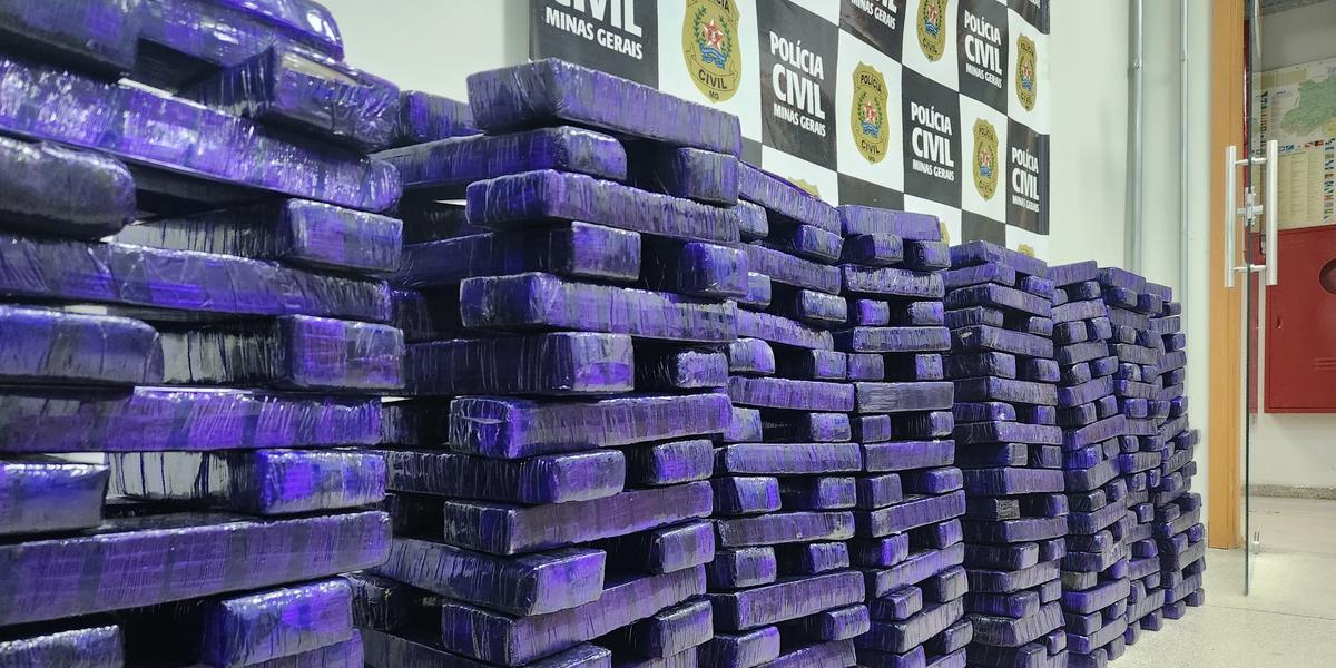 O caminhoneiro vinha do Paraguai com uma carga de aproximadamente 200 kgs de maconha em meio a uma carga lícita de farinha de trigo (PCMG/Divulgação)