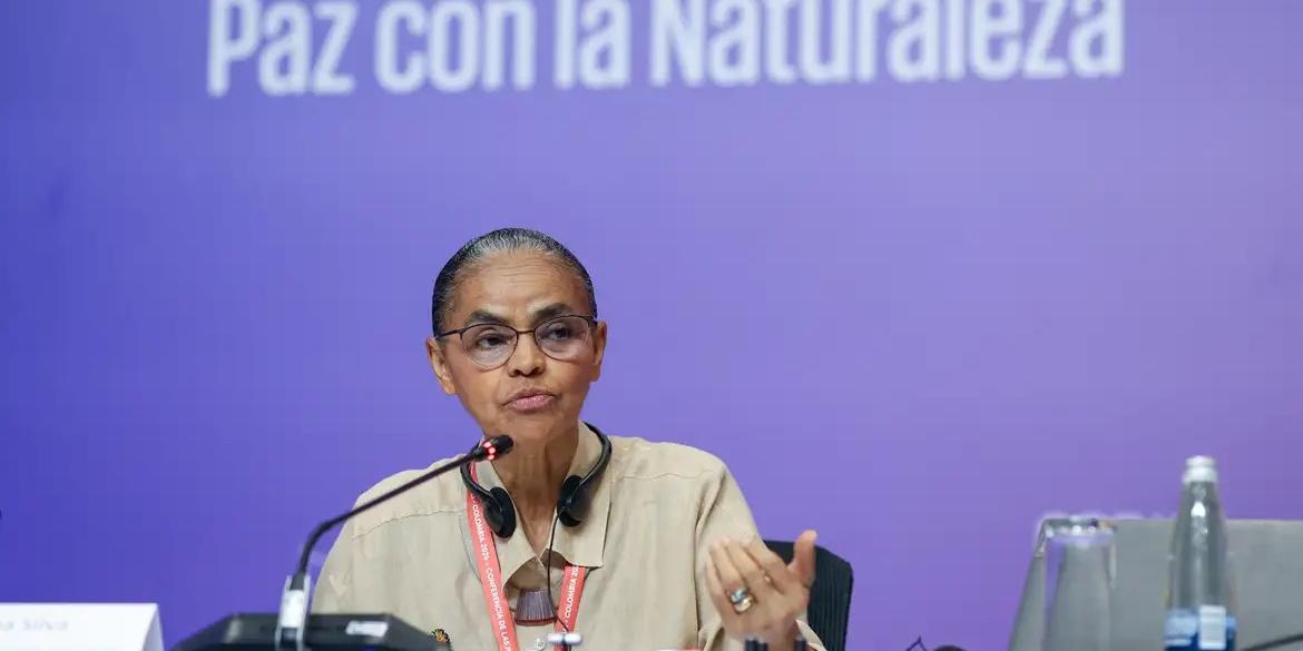 De acordo com os indígenas, a ideia era manifestar uma posição na COP16, ao mesmo tempo em que ocorria a marcha contra o marco temporal em Brasília (FELIPE WERNECK/MMA)