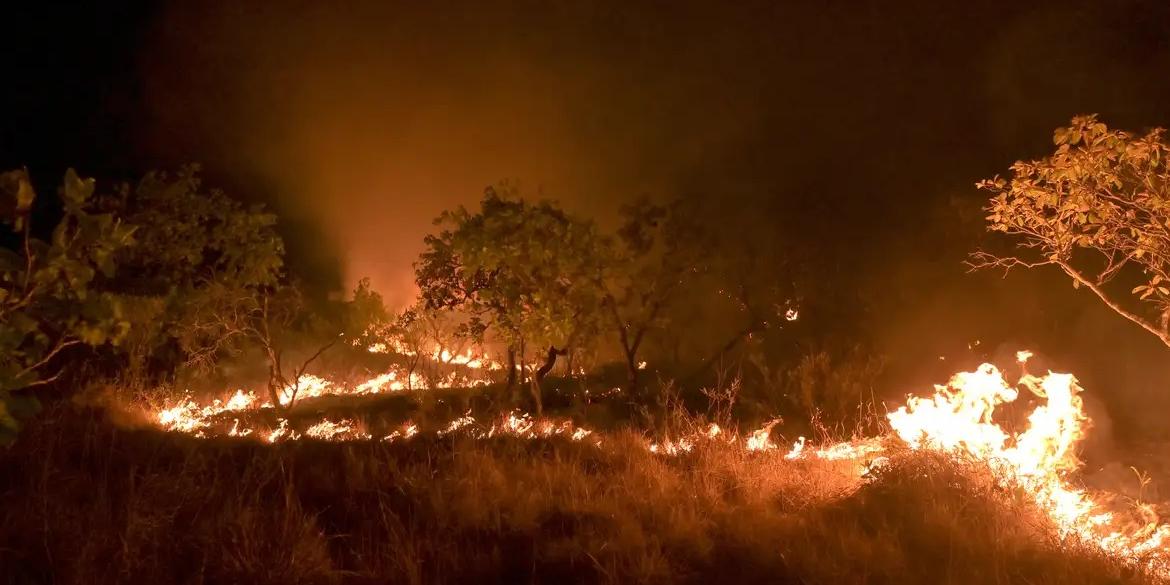 No ano passado, o país emitiu 2,3 bilhões de toneladas de gases do efeito estufa (JADER SOUZA/AL RORAIMA)