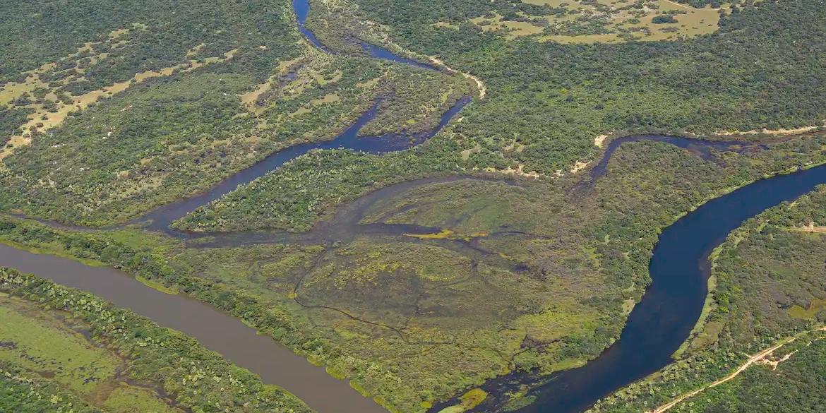 Com apenas 31% de cobertura vegetal preservada e 67% de ocupação e atividades humanas na região, a Mata Atlântica continua perdendo vegetação (THOMAS BAUER/ SOS MATA ATLÂNTICA)