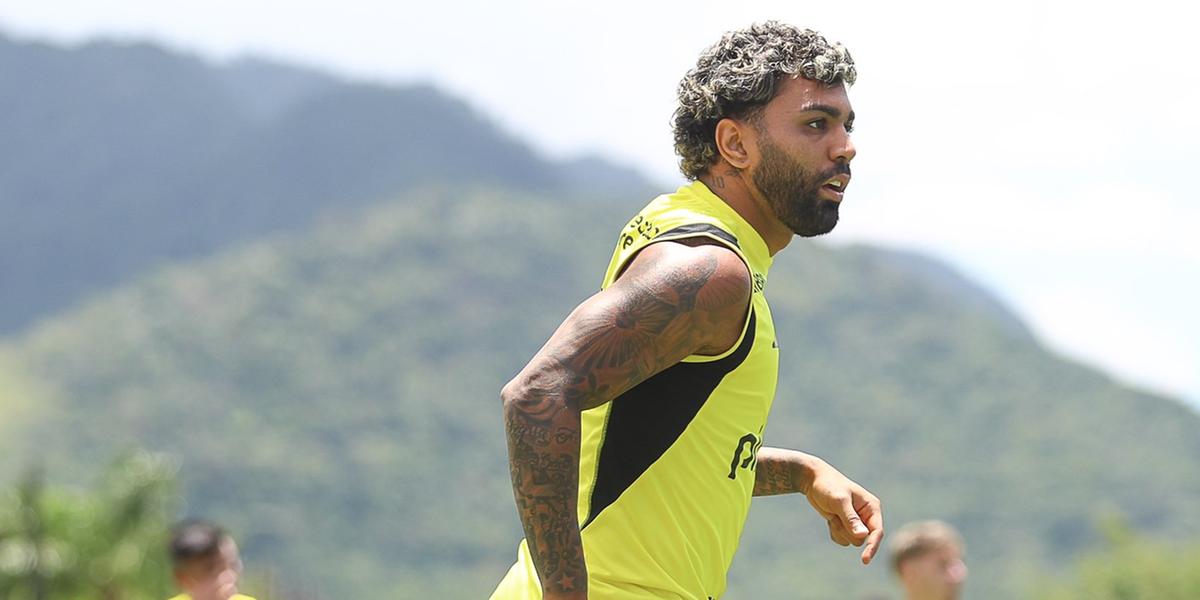 Gabigol já teria acertado com o Cruzeiro para as próximas quatro temporadas (Gilvan de Souza / CRF)