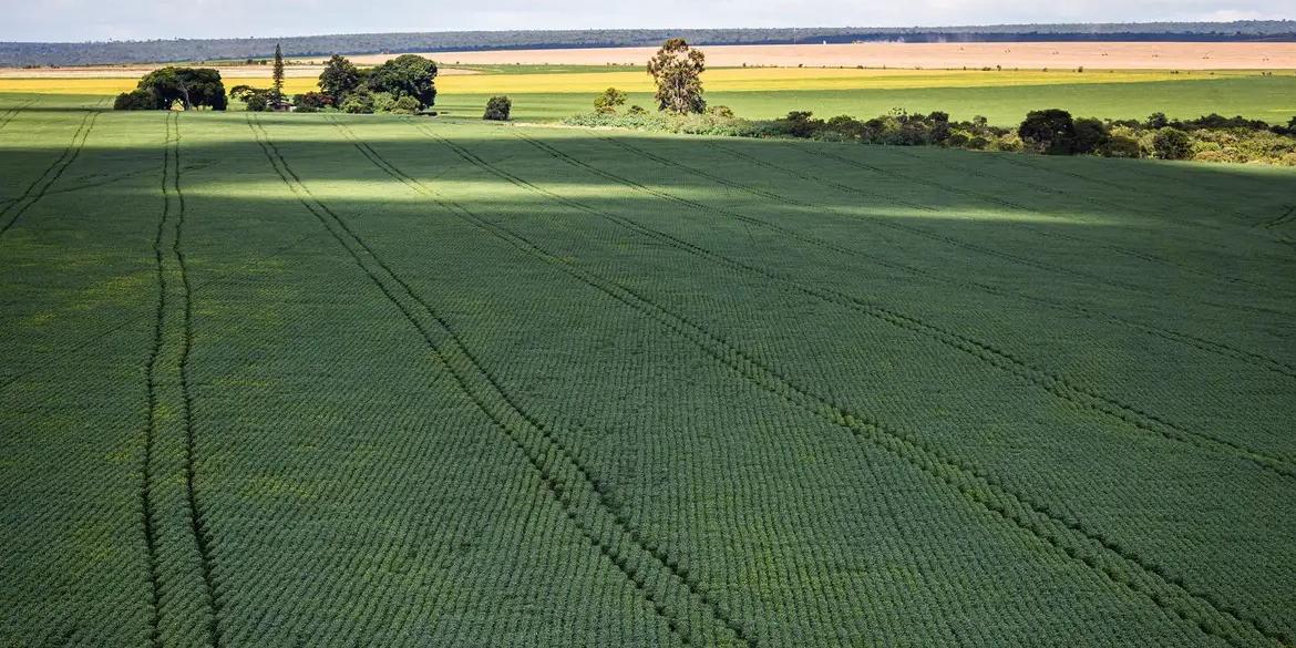 Nos primeiros anos de análise, de 1985 a 2008, eram 18 milhões de hectares (CNA/ WENDERSON ARAUJO/TRILUX)