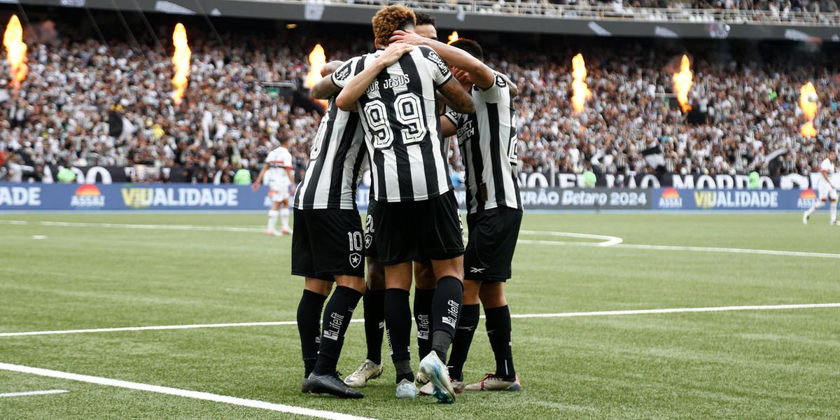 Botafogo vence e conquista o Brasileirão após 29 anos (Vitor Silva/Botafogo)