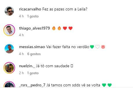 Torcedores do Palmeiras comentaram a postagem do ex-jogador (Dudu / Redes sociais)