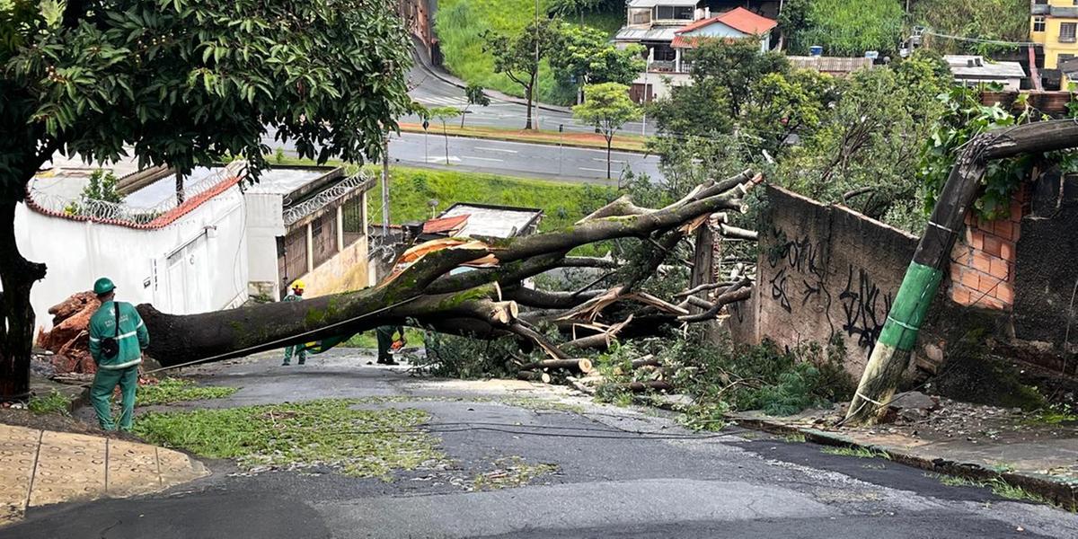  (Fernando Michel/Hoje em Dia)