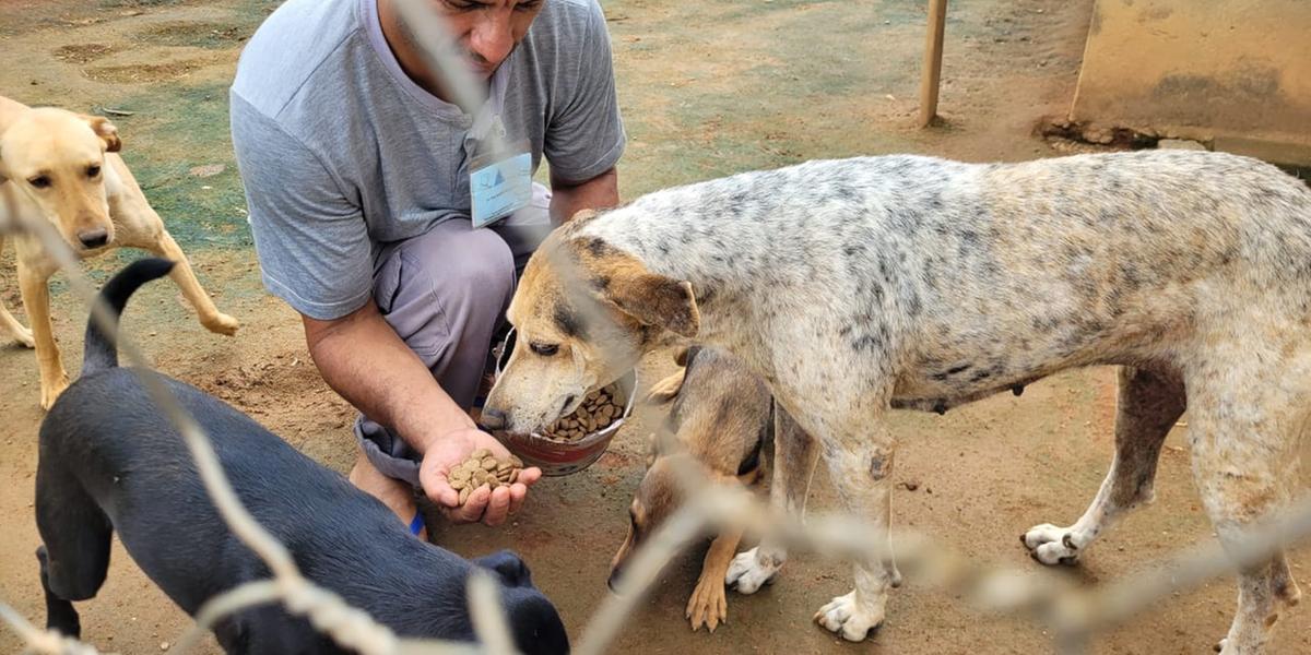 Recuperandos da Apac de Manhuaçu assumiram os cuidados com os animais (Apac de Manhuaçu/ Divulgação)