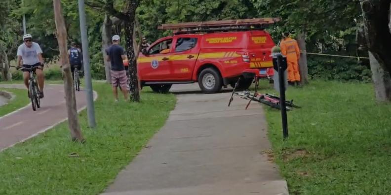 Bombeiros foram acionados para fazer a retirada, na altura do número 6214 da avenida Otacílio Negrão de Lima (Divulgação / CBMMG)