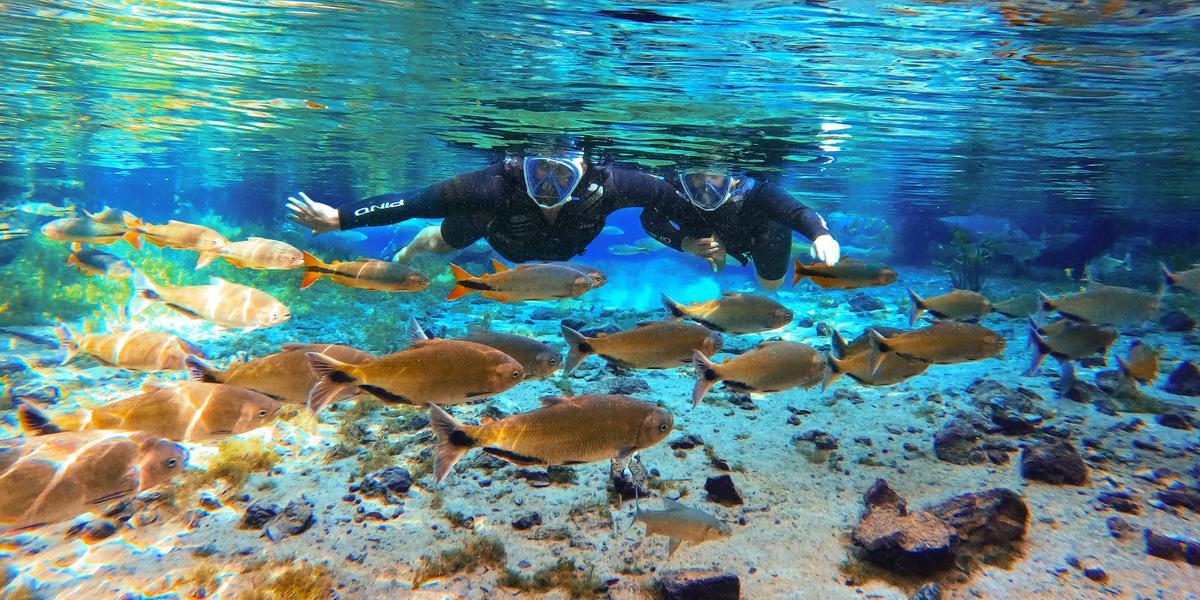 Passeio imperdível para quem visita Bonito é o Balneário Nascente Azul, que combina relaxamento e beleza natural (Divulgação / Nascente Azul)