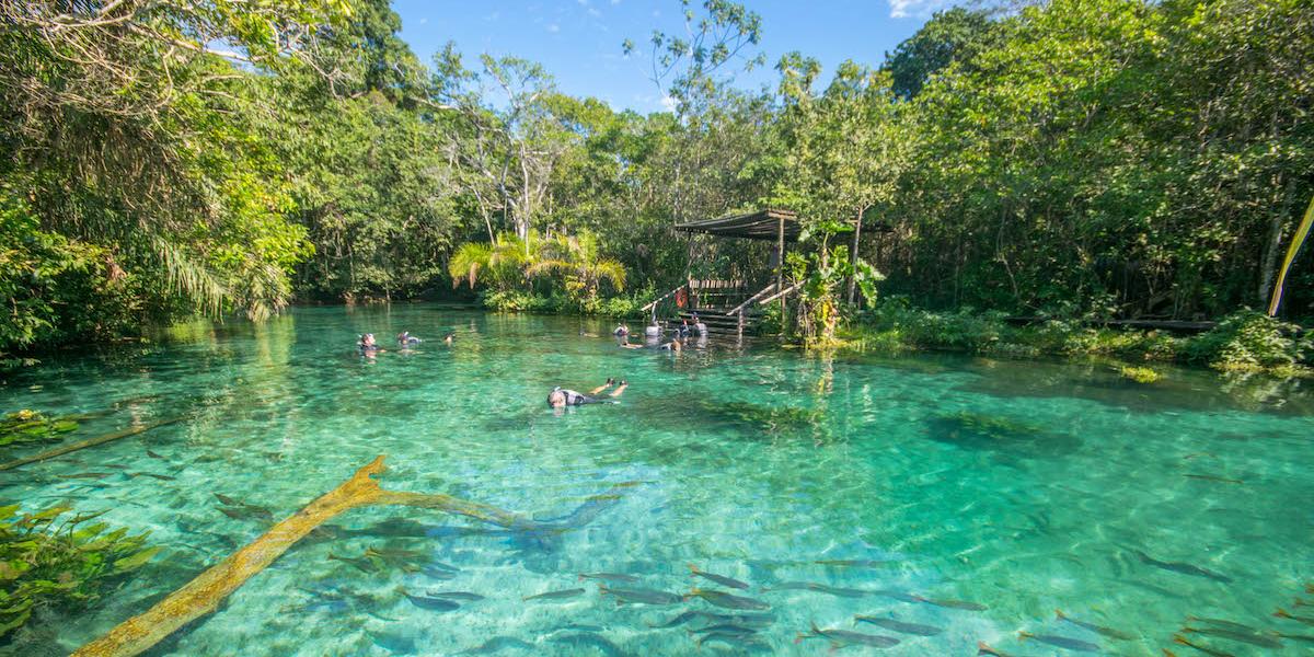 Principal destino de ecoturismo do Brasil, Bonito é o lugar certo para quem quer se refrescar do calor neste verão (Divugação / Nascente Azul)