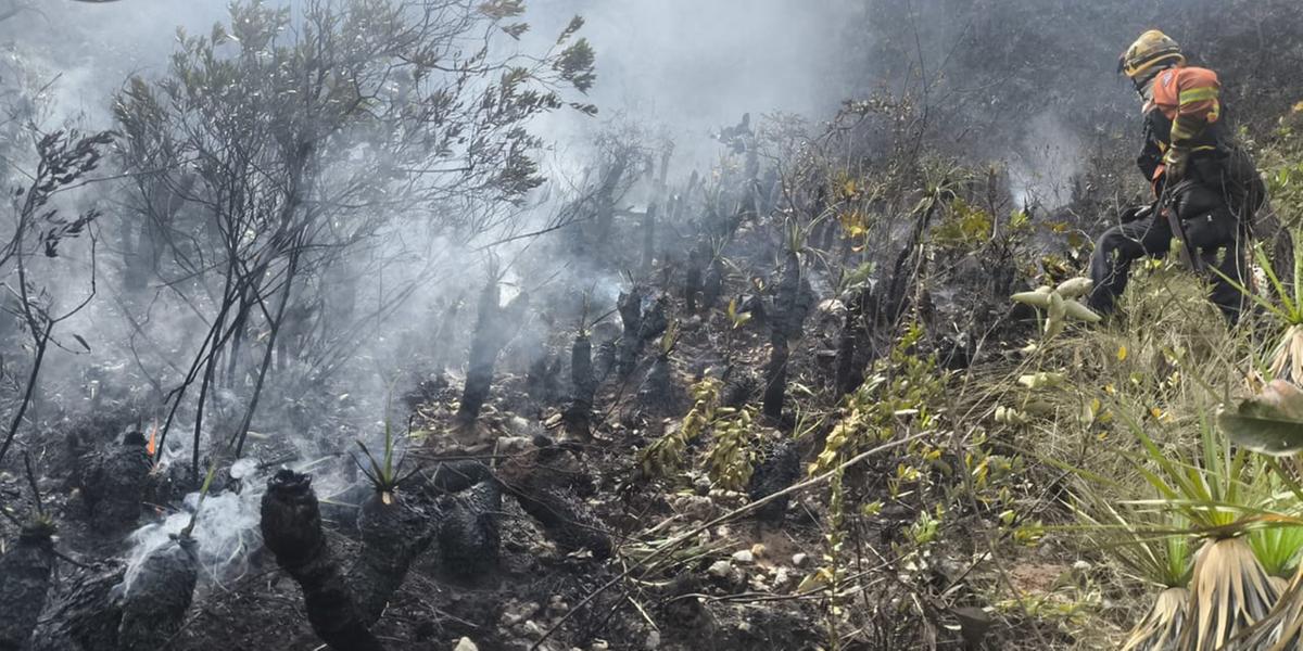 Bombeiros trabalhando no combate a incêndio na Serra da Calçada (Divulgação / CBMMG)