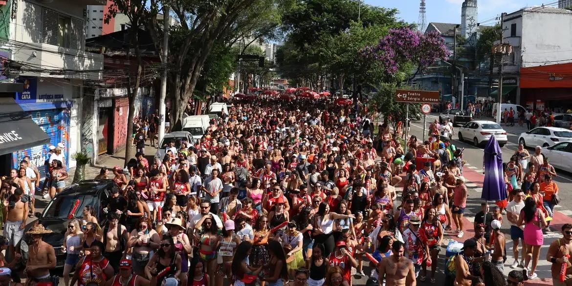 Bloco carnavalesco Os Piores desfila na rua Rui Barbosa, em Bela Vista (Rovena Rosa/Agência Brasil)