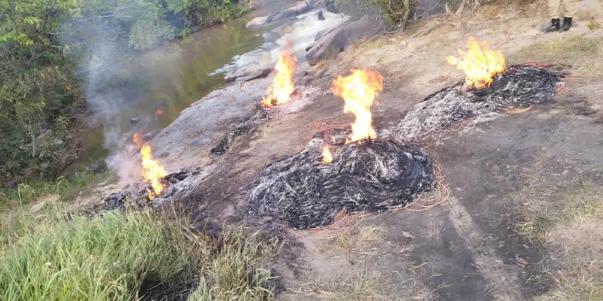 Militares localizaram várias ferramentas e diversas fogueiras queimando os fios e cabos de energia que haviam sido furtados em uma fazenda de energia fotovoltaica em Itatiaiuçu (Divulgação / PMMG)