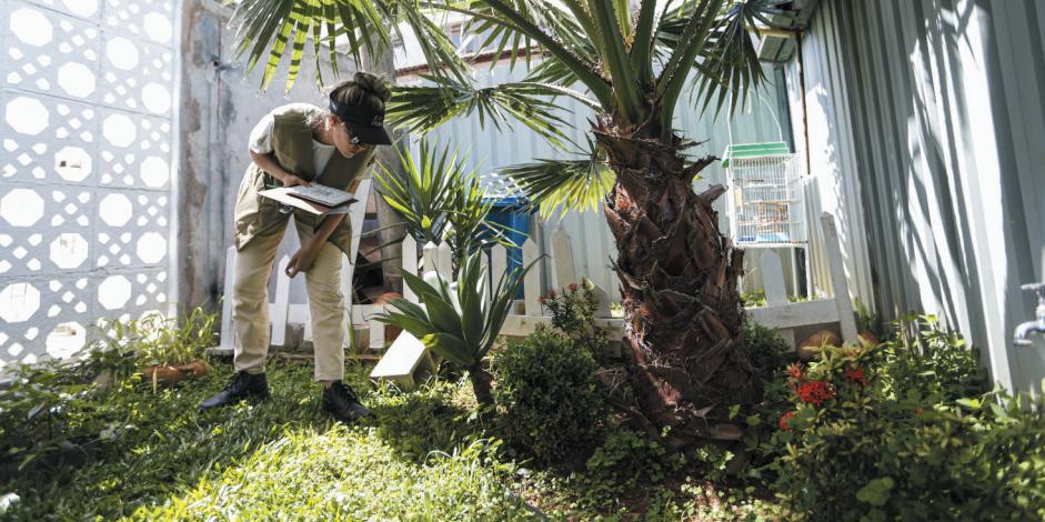 É preciso reforçar os cuidados em casa para eliminar objetos e locais que acumulam água e podem se tornar focos do Aedes (Marcelo Camargo/Agência Brasil)