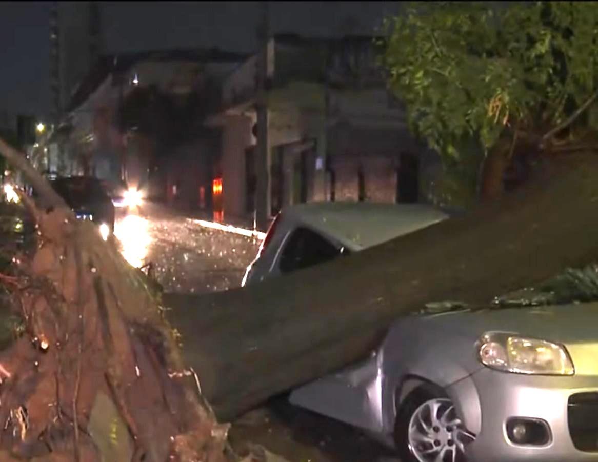 Carro ficou completamente destruído após uma queda de árvore no Barreiro (Reprodução Tv Globo)