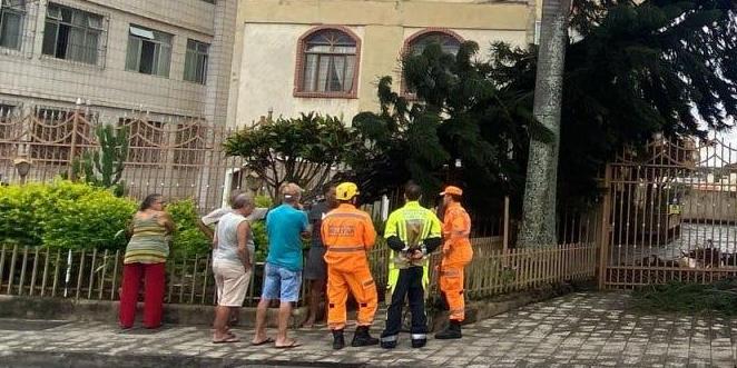 Árvore caiu após a forte chuva registrada nessa terça em BH (Corpo de Bombeiros / Divulgação)