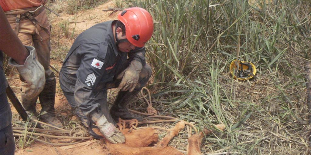  (Corpo de Bombeiros)