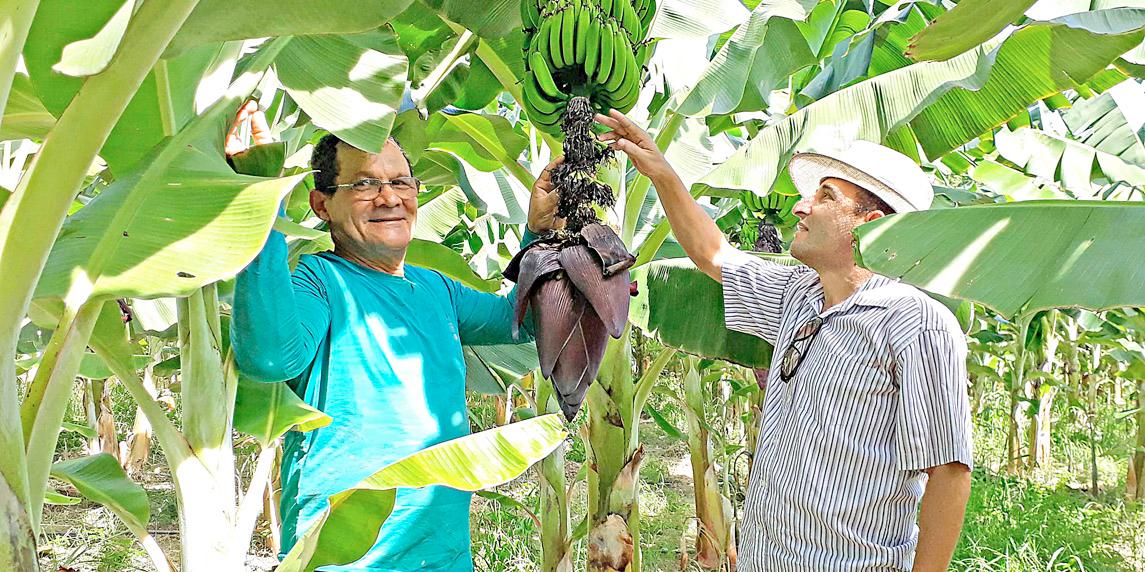 Escolas Estaduais Mineiras Serão Abastecidas Com Alimentos Da Agricultura Familiar 8336