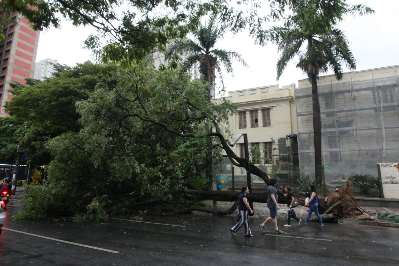 Pelo Segundo Dia Consecutivo, Chuva E Vento Fortes Causam Destruição Em BH