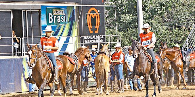  (MAURÍCIO VIEIRA)