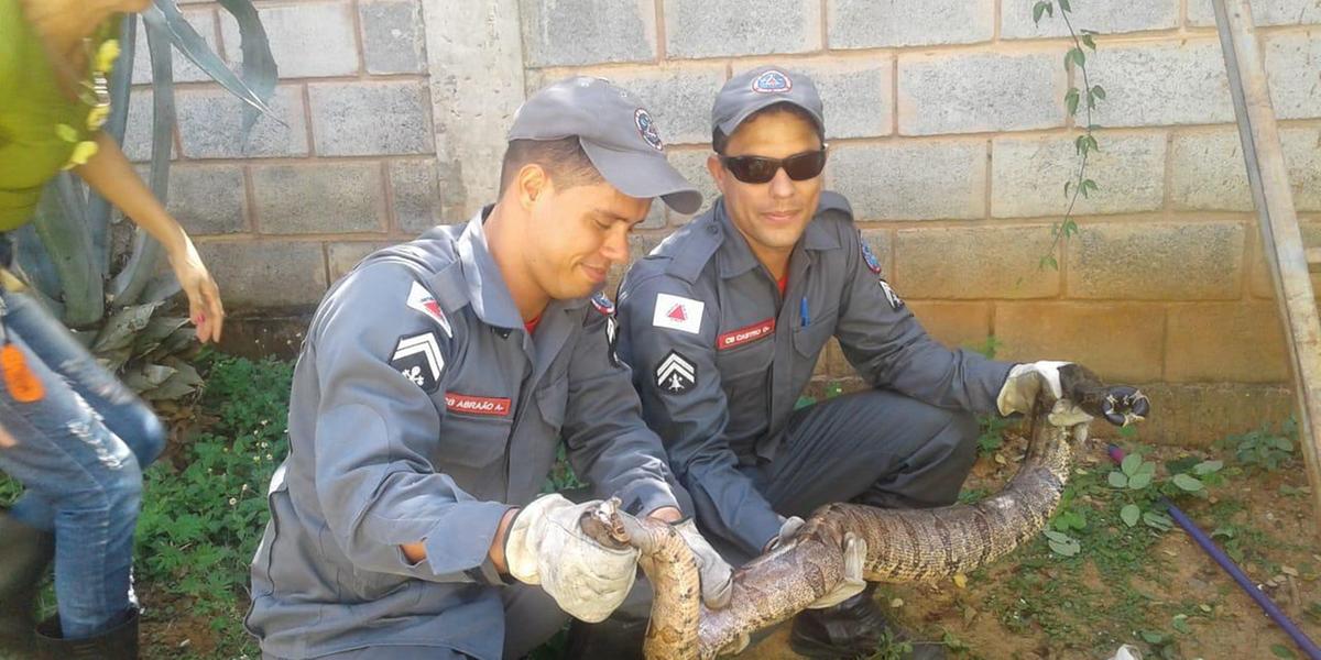  (Divulgação/Corpo de Bombeiros)