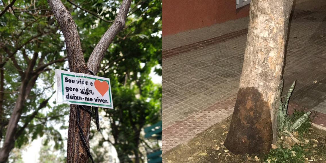  (Anderson Rocha/ Hoje em dia - Gildacio Antunes/ Arquivo pessoal)