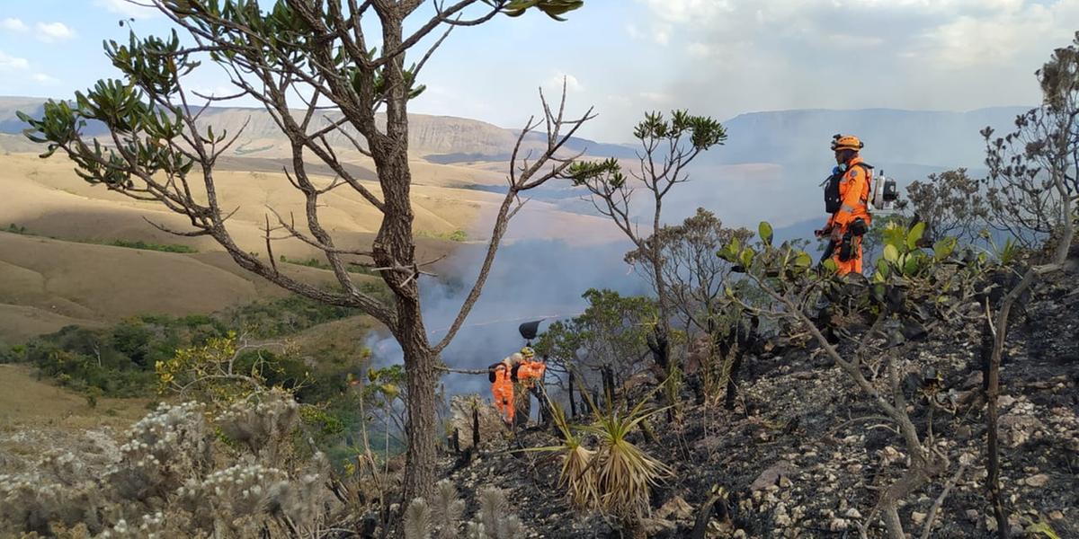 Ao todo, a Polícia Civil concluiu 687 procedimentos investigativos relacionados ao crime de "provocar incêndio em mata ou floresta" (Corpo de Bombeiros/Divulgação)