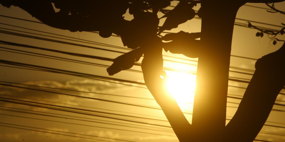  (FOTO: MAURICIO VIEIRA / JORNAL HOJE EM DIA)