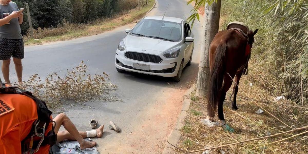 Animais soltos pelas ruas podem causar acidentes de trânsito (Bombeiros MG / Divulgação)