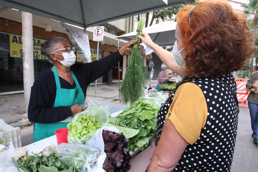 A agricultura urbana em São Paulo e Belo Horizonte: Uma proposta