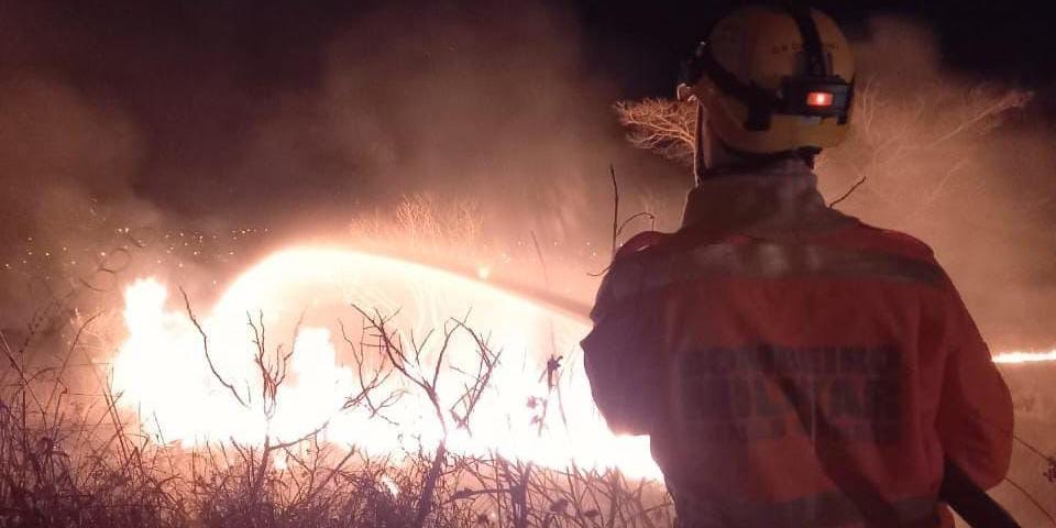 Corpo de Bombeiros combate incêndio no bairro Novo Horizonte, próximo à BR 265 (Divulgação Corpo de Bombeiros)