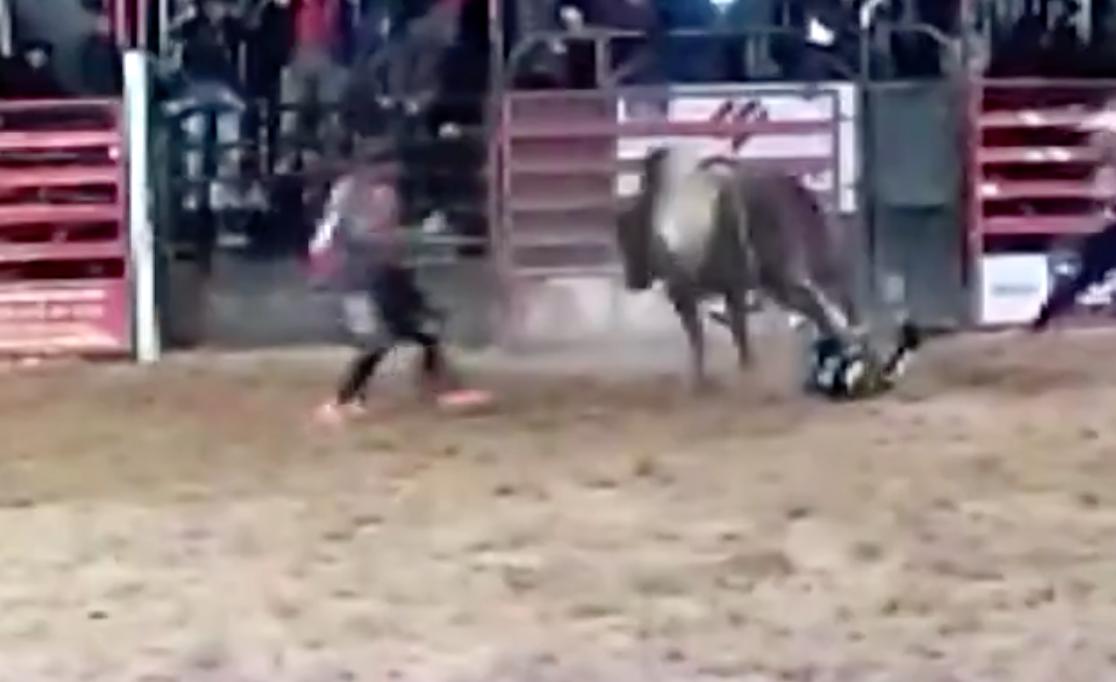 Peão de rodeio é pisoteado por touro de 800 kg e morre :: Notícias