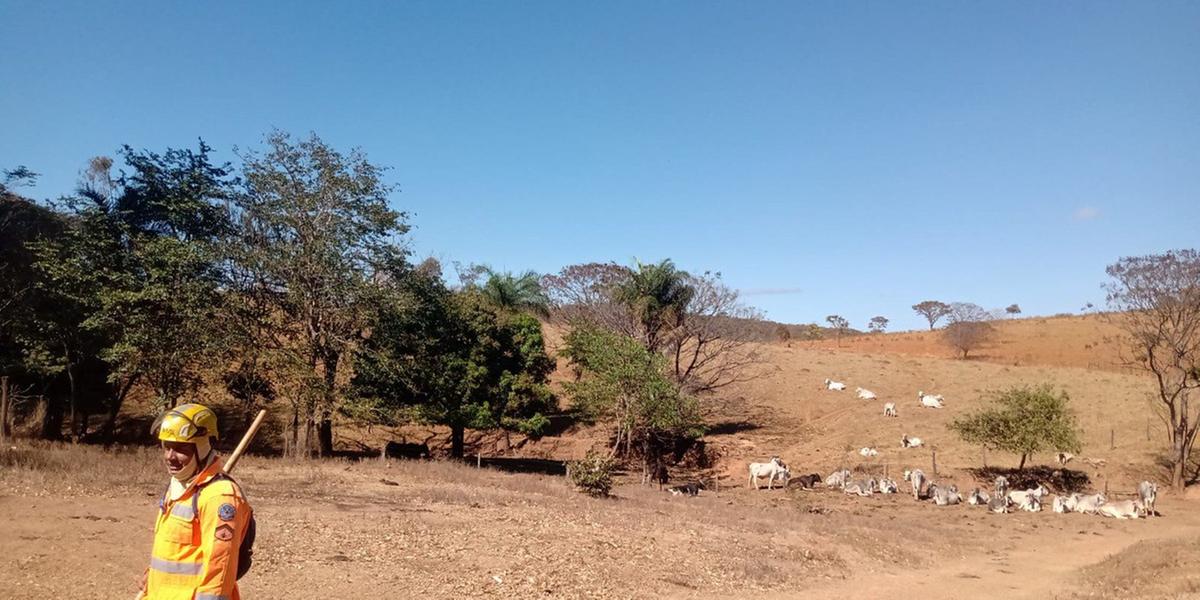 O fogo começou na última sexta-feira (19) e consumiu uma área equivalente a 370 campos de futebol (Corpo de Bombeiros/Divulgação)