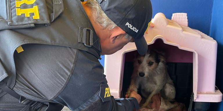  (Polícia Rodoviária Federal / Divulgação)