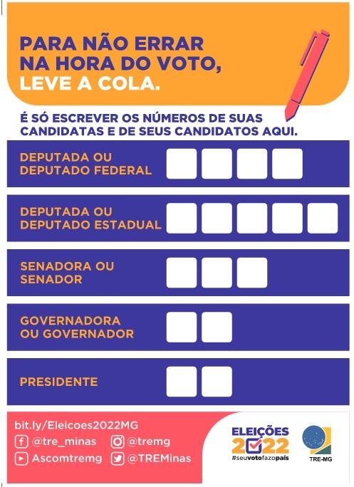 Eleitor Pode Levar Colinha Com Números Dos Candidatos Para Agilizar ...