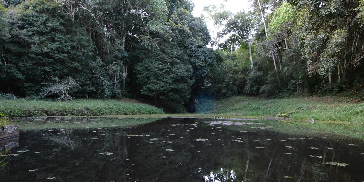 O parque estadual Mata do Krambeck possui cerca de 292 hectares (Cristiano Machado / Imprensa MG / Divulgação)