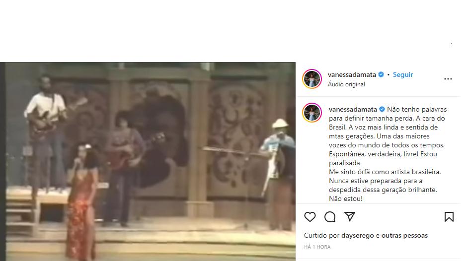 Vanessa da Mata, cantora (Reprodução/Instagram)