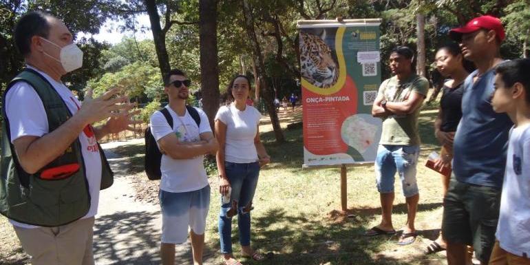 “Ajudar é o Bicho!”  tem o objetivo de conscientizar a população sobre a responsabilidade no trânsito (Rizzia Botelho / PBH)