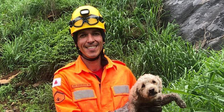 Militares do Corpo de Bombeiros usaram técnicas de salvamento em altura para resgatar o cachorrinho (Corpo de Bombeiros / Divulgação)