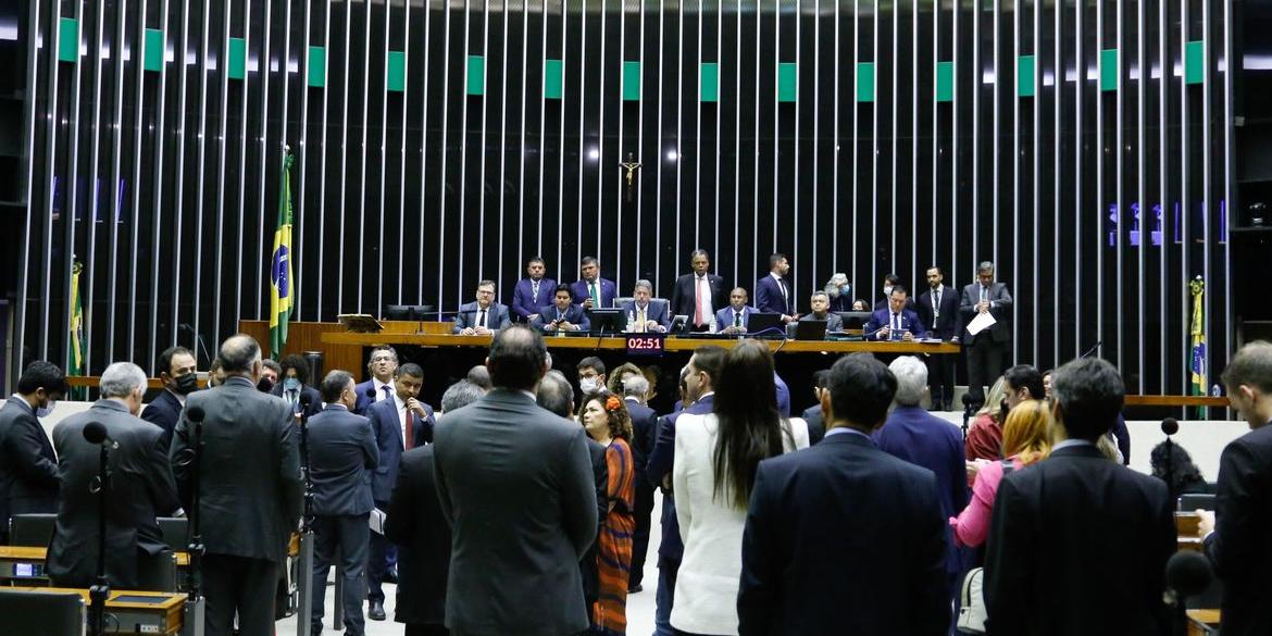 Texto segue para o Senado (Elaine Menke - Câmara dos Deputados  - Direitos reservados)