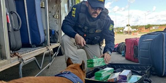 Cão farejador encontra droga em bagagem de passageira que ia para Fortaleza (Polícia Rodoviária Federal / Divulgação)