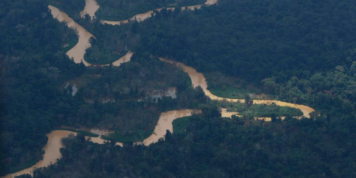 Levantamento do MapBiomas identificou 2.869 pistas de pouso no bioma (Fernando Frazão - Agência Brasil)